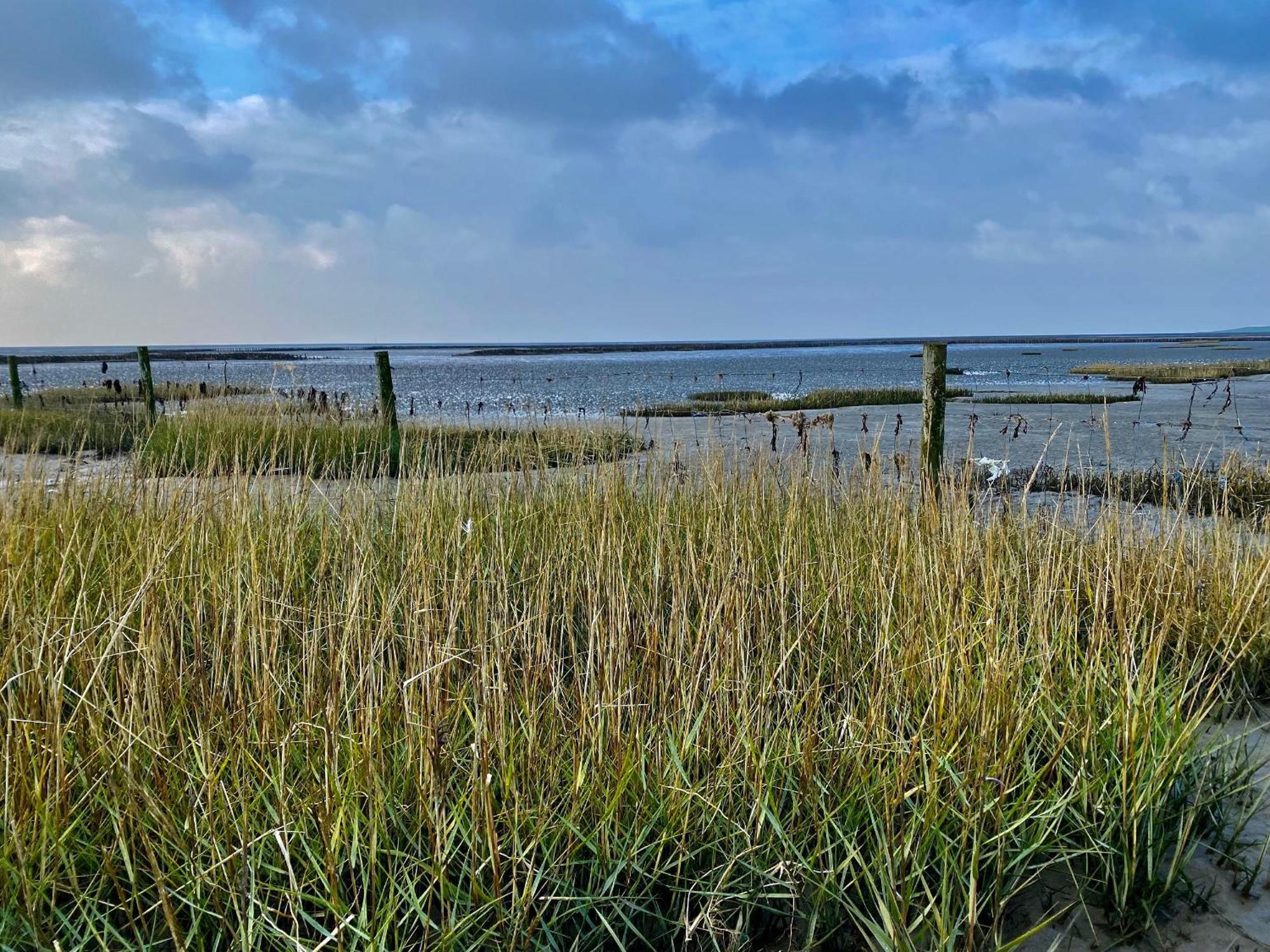 Salzwiesenblick Büsum Exterior foto